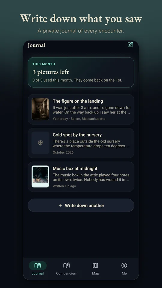 The Journal: encounters written down, with their pictures and the month’s picture allowance